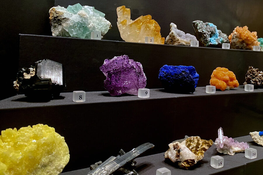 shelves of rocks on display